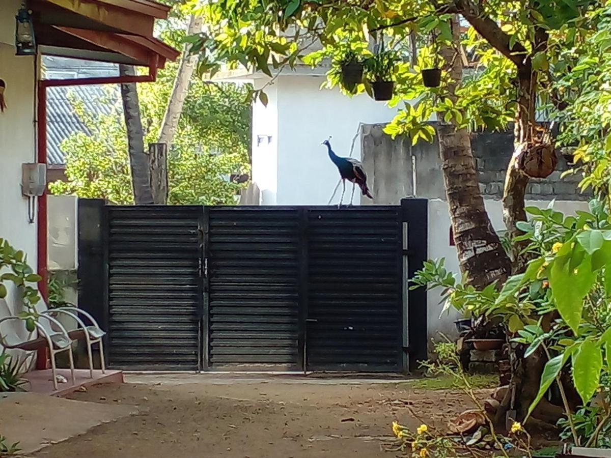 4Ty Two Homestay Galle Exteriér fotografie