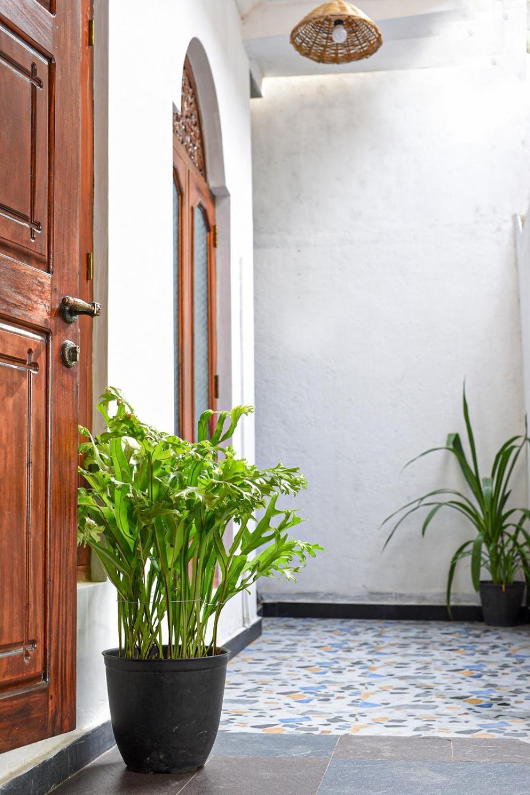 4Ty Two Homestay Galle Exteriér fotografie