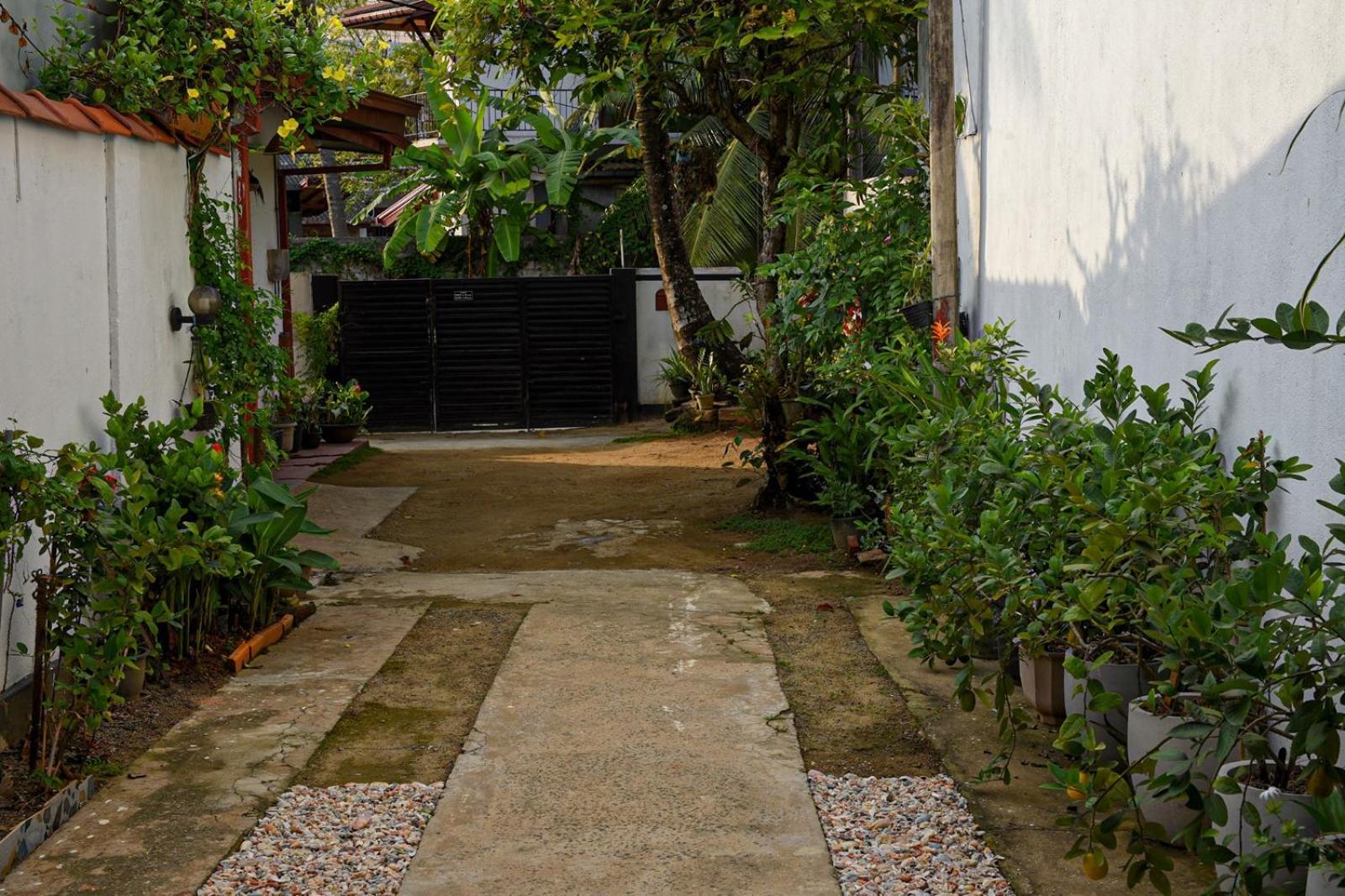 4Ty Two Homestay Galle Exteriér fotografie